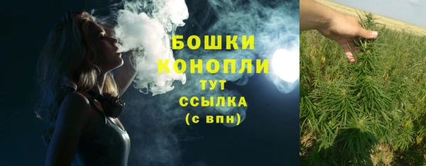 дмт Алагир